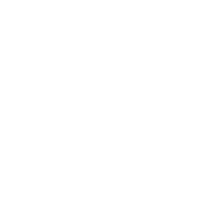 logo FMG