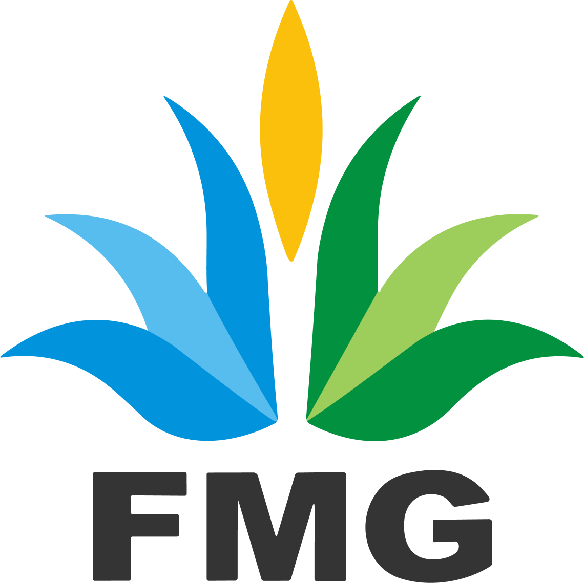 Logo FMG